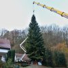 szia.sk - Szlovákiai fenyőfa díszíti idén Brüsszel főterét