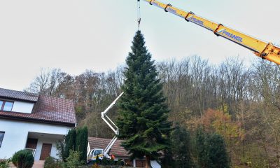 szia.sk - Szlovákiai fenyőfa díszíti idén Brüsszel főterét