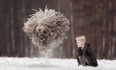 szia.sk - Kisfiú. Kutya. Tél. Gyönyörű fotók!